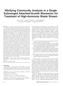 Nitrifying Community Analysis in a Single Submerged Attached