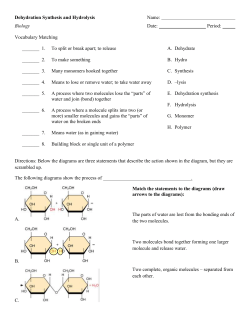 Dehydration Synthesis and Hydrolysis Name: Biology Date: Period