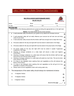 Salad Valley: Multiple Choice Questionnaire