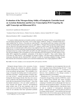 Evaluation of the Nitrogen-fixing Ability of Endophytic Clostridia