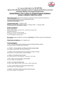 Seapura Annual Report Year 1