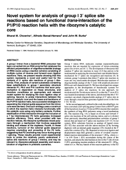 Novel system for analysis of group I 3` splice site reactions based on