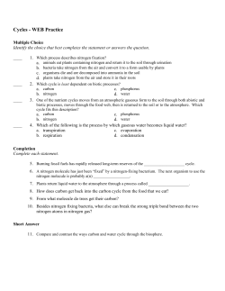 Cycles - WEB Practice Answer Section