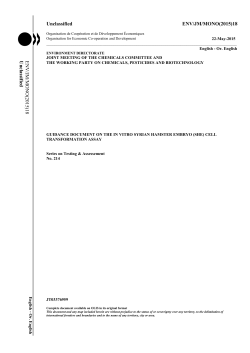 Guidance on the in vitro Syrian hamster embryo cell