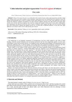 Callus induction and plant regeneration of tobacco Leaf explant