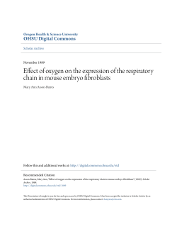 Effect of oxygen on the expression of the respiratory chain in mouse