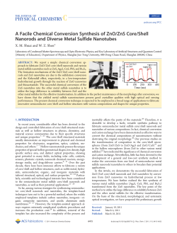 A Facile Chemical Conversion Synthesis of ZnO/ZnS Core/Shell