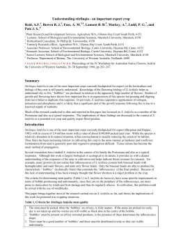 The juvenile plant, how it develops, root:shoot ratios, starch storage,