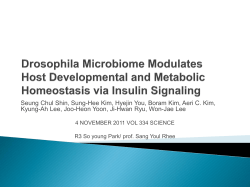 Drosophila Microbiome Modulates Host Developmental and