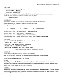Check answers