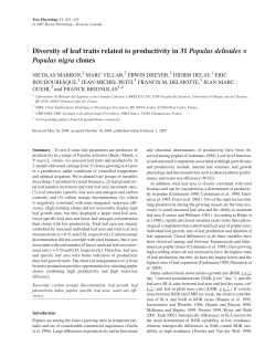 Diversity of leaf traits related to productivity in 31 Populus deltoides