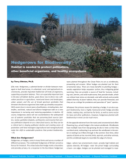 Hedgerows for Biodiversity
