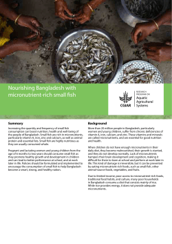 Nourishing Bangladesh with micronutrient