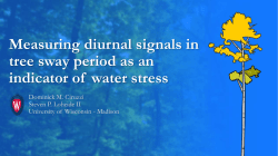 Measuring diurnal signals in tree sway period as an indicator of
