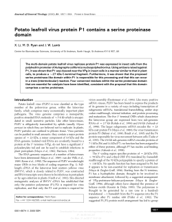 Potato leafroll virus protein P1 contains a serine proteinase domain