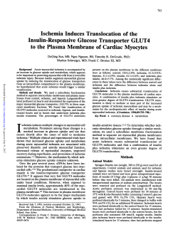 Ischemia Induces Translocation of the Insulin