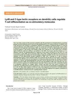 Ly49 and C-type lectin receptors on dendritic cells regulate T