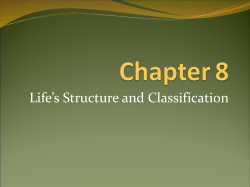 Chapter 8 - Hopkins County Schools