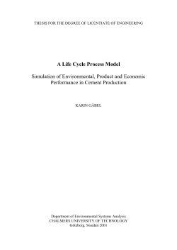 A Life Cycle Process Model