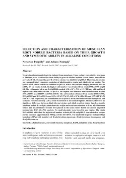 selection and characterization of mungbean root nodule bacteria