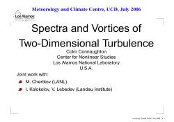 Spectra and Vortices of Two-Dimensional Turbulence