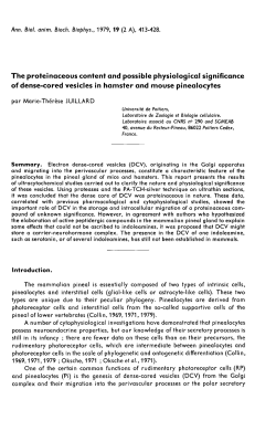 The proteinaceous content and possible physiological significance