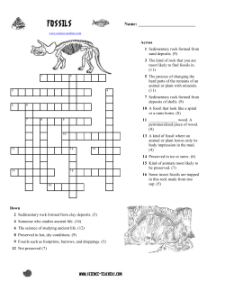 Fossils Crossword