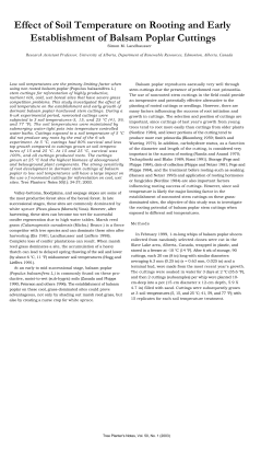 Effect of Soil Temperature on Rooting and Early Establishment of