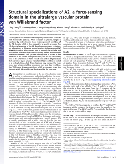 Structural specializations of A2, a force