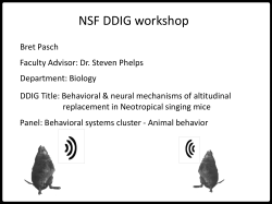 NSF DDIG info