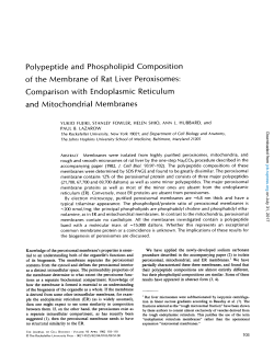 Polypeptide and Phospholipid Composition of the Membrane of Rat