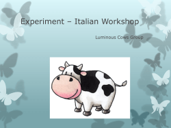 Experiment * Italian Workshop