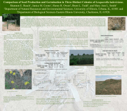 Comparison of seed production and germination in three distinct