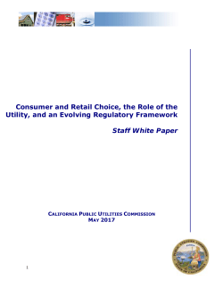 Consumer and Retail Choice, the Role of the Utility, and an Evolving