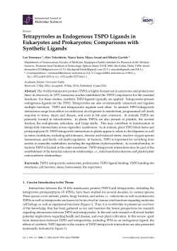 Tetrapyrroles as Endogenous TSPO Ligands in Eukaryotes and