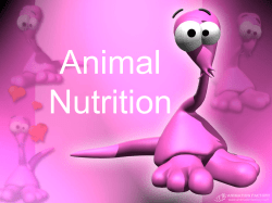 Animal Nutrition
