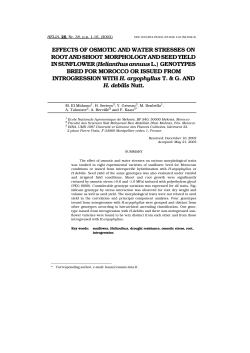Effects of osmotic and water stresses on root and shoot morphology
