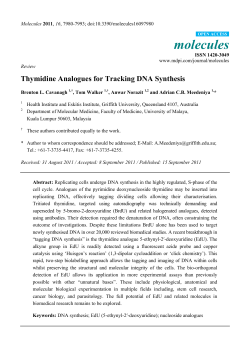 Thymidine Analogues for Tracking DNA Synthesis