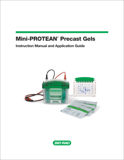 Mini-PROTEAN&reg; Precast Gels - Bio-Rad