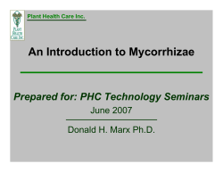 An Introduction to Mycorrhizae