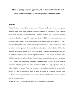 UntitledEffect of genotype, explant type and 2,4