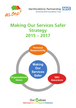 Making Our Services Safer Strategy 2015 &ndash; 2017