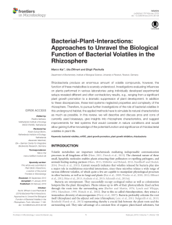Bacterial-Plant-Interactions: Approaches to Unravel the