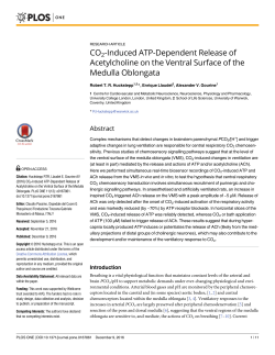 CO2-Induced ATP-Dependent Release of Acetylcholine on the