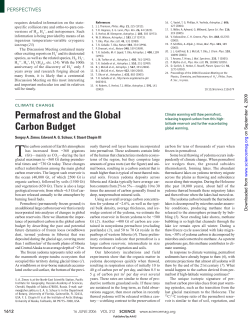 Permafrost and the Global Carbon Budget
