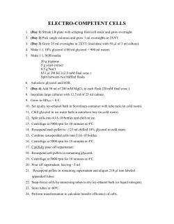 Making Electrocompetent Cells