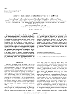 Honeybee memory: a honeybee knows what to do and when