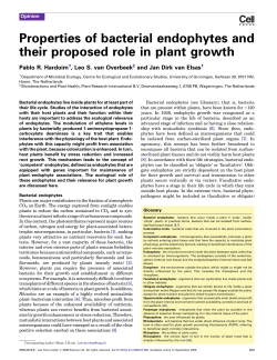 Properties of bacterial endophytes and their proposed role in plant