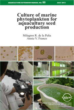 Culture of marine phytoplankton for aquaculture seed production