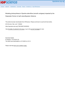 Modeling photosynthesis of Spartina alterniflora